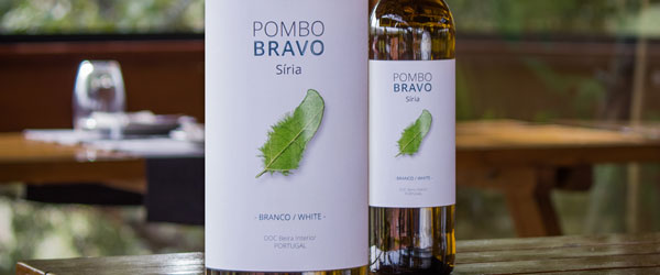 Pombo Bravo Siria Branco