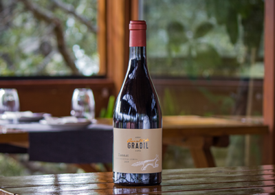 Quinta do Gradil Tannat
